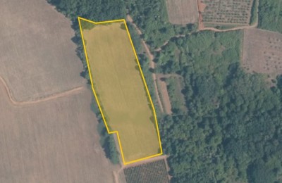 Agricultural plots Fuškulin