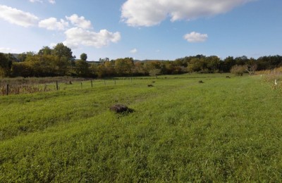 BUZET SURROUNDINGS - BUILDING PLOT WITH AGRICULTURAL LAND FOR SALE