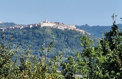 Jedinstvena nekretnina, kamena kuća na brdašcu sa pogledom na Motovun