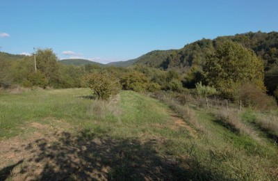 MOTOVUN OKOLICA-GRAĐEVINSKO ZEMLJIŠTE SA IDEJNIM PROJEKTOM NA PRODAJI ID: