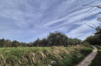 Istrien - Gebiet Poreč 13 km, Baugrundstück für den Bau eines Hauses oder eines Gebäudes mit 4 Wohnungen!!