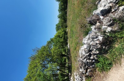 Building land with project and building permit-Sveti Lovreč
