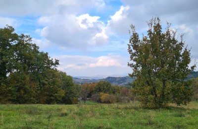 Motovun area Building plot with a project, surrounded by untouched nature